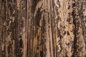 Vintage worn wood gate texture