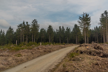 Fototapeta na wymiar Landscape in Germany near Passhohe Muhlleithen village in Krusne mountains