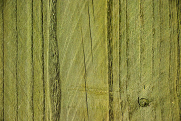Green painted wood grain texture background