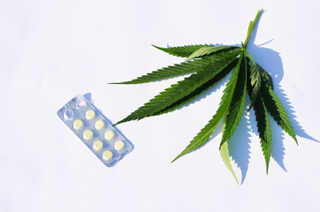 Top view of green cannabis leaves and pills on white background, medical marijuana photo