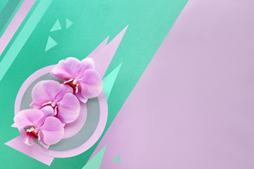 Orchid flowers on geometric background with copy-space, foral paper background in pink and mint colors