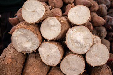 Maniok Cassava Wurzel