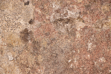 Rough grunge wall surface texture