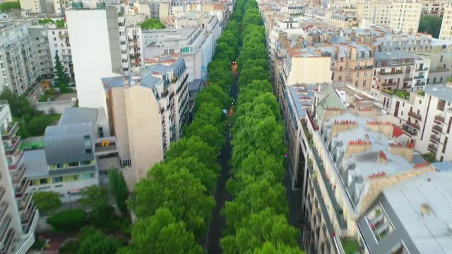 Aerial, tilt up, drone shot, above trees and traffic on Avenue Foch, surrounded by french buildings and architecture, in the city of Paris, on a sunny, summer day, in France