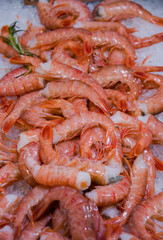 background of fresh raw shrimp on ice in shop window selective focus