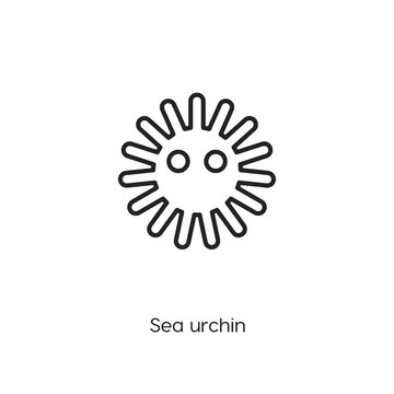 sea urchin icon. sea urchin vector symbol. Linear style sign for mobile concept and web design. sea urchin symbol illustration. Pixel vector graphics - Vector	