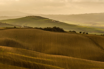 Fototapeta na wymiar Zamglone wzgórza Toskanii