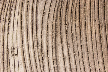 Curved concrete plaster lines texture