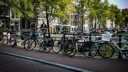 bikes in the town