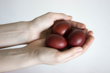 Unrecognizable women hand holding up three eggs. Knocking a red Easter egg. Old holiday tradition. Isolated on white background. Text empty space. Happy Easter!