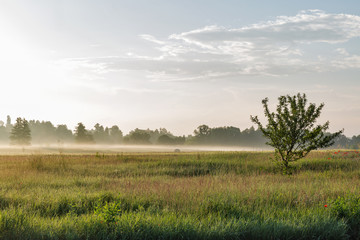 Fototapeta premium Landscape with haze over Ros river, Ukraine.