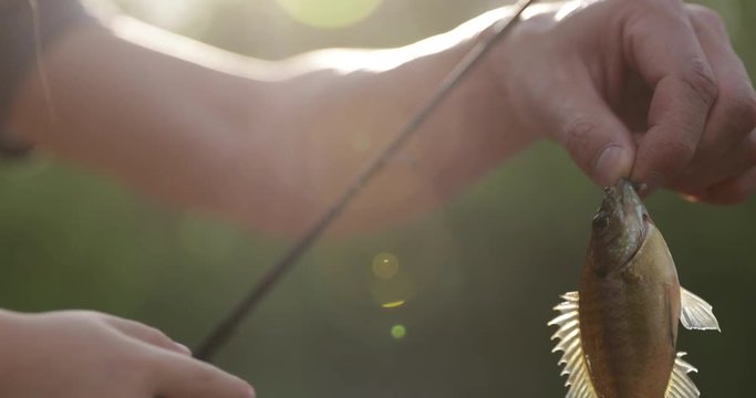 Close up 4k footage of child and father fishing and catching a fish, beautiful back lighting outdoors with greenery and trees in background.