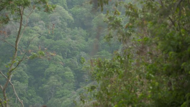 Wide high angle racking focus panoramic aerial still shot of rainforest valley with tall tropical trees, Casanare nature tour, Colombia