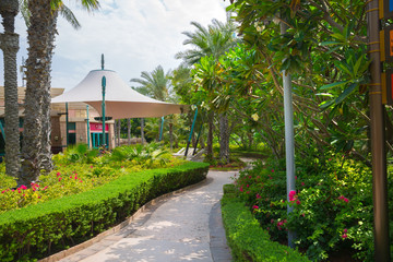 Naklejka premium Dubai, UAE, United Arab Emirates. Park of the Sofitel hotel on the Jumeirah Island