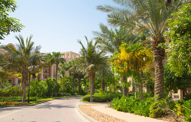 Fototapeta premium Dubai, UAE, United Arab Emirates. Park of the Sofitel hotel on the Jumeirah Island