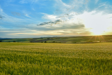 Fototapeta premium Colorful landscape of sunset in farmland. Freedom sensation
