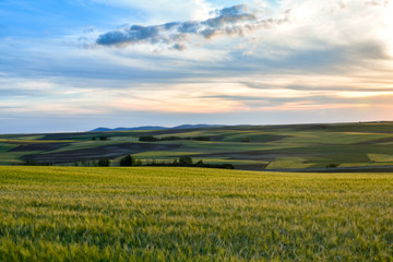 Obraz na płótnie Canvas Colorful landscape of sunset in farmland. Freedom sensation