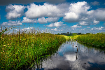 Flussstimmung am Shire River