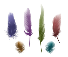 Set colored feathers. Vector illustration. EPS 10.