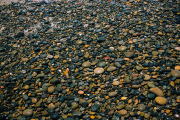 Rocks on the beach in Encinitas, CA