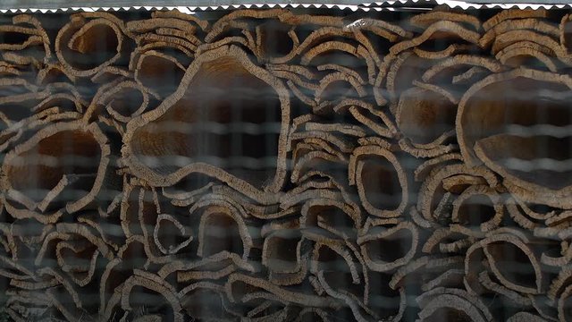Cork bark factory in Portugal