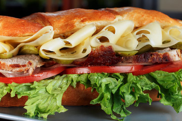 Delicious beef sandwich and other fresh fillings, macro photography