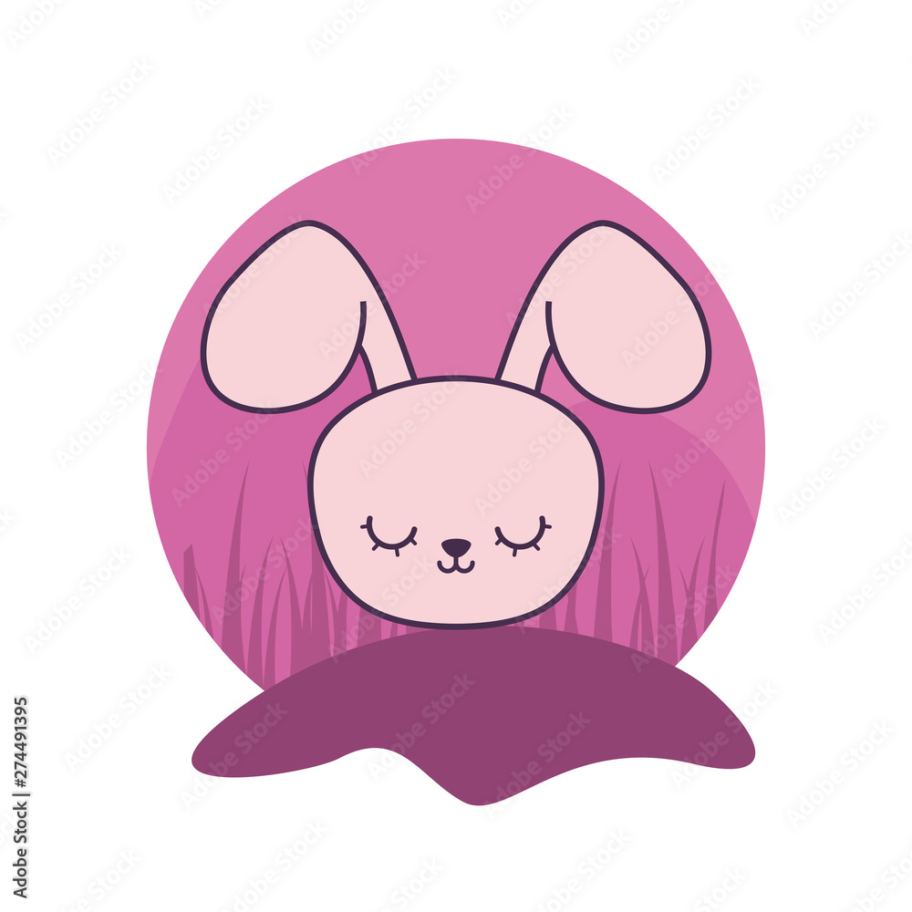 Poster head of cute rabbit animal character