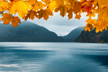 Naklejka premium Yellow leaves frame and lake water. Out of focus autumn image