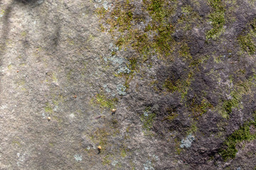 Old Mossy Stone Background or Texture