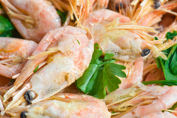 Boiled shrimp , close-up