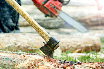 deforestation. ax on a log