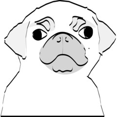 vector illustration of a pug head