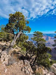Fototapeta na wymiar Sky blue background. Natural landscape. Beautiful nature landscape panorama. Grand canyon national park, arizona, usa.