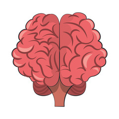 Fototapeta premium Human brain intelligence and creativity cartoons