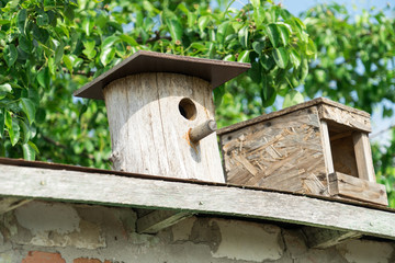 birdhouse. Wooden house for birds. Birdhouse on a background of green foliage.