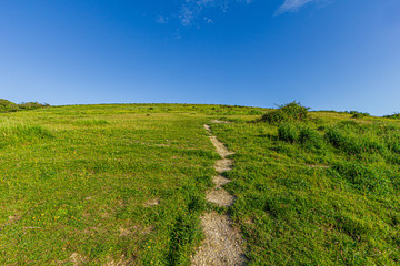 A view of a grassy green slope with a trail path leading to the summit under a majestic blue sky