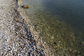 rock and shell beach