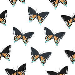 Fototapeta na wymiar Butterfly seamless pattern. Seamless pattern with butterflies. Butterfly vector pattern