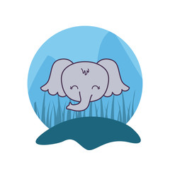head of cute elephant animal isolated icon