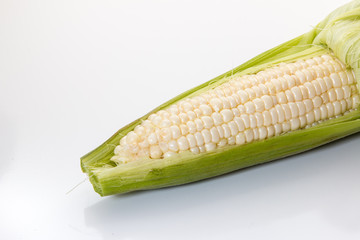 Ear of white corn with husks on a white background. - 274497192