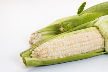 Ears of White Corn on a white backgroud. - 274497198