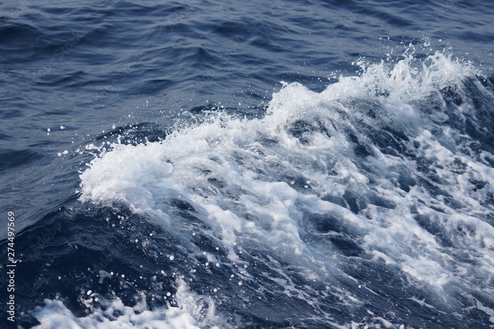 Wall mural foamy stormy waves at sea