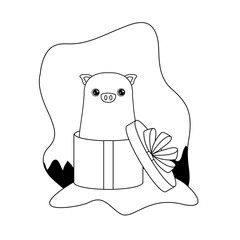 cute piggy animal in gift box