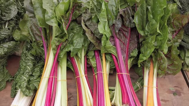Organically grown swiss chard at the farmers market