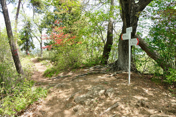 道志山塊 沢井沢ノ頭