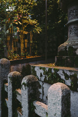 Landscape of Fushimi Inari