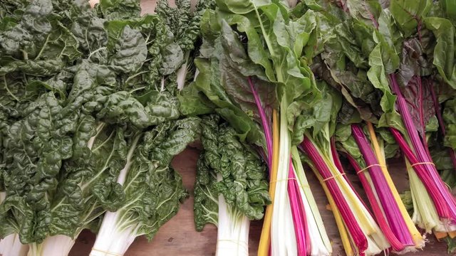 A variety of organically grown vegetables at the farmers market