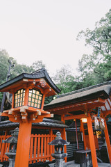 Landscape of Fushimi Inari