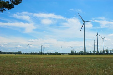 Windkraftanlagen auf dem Feld