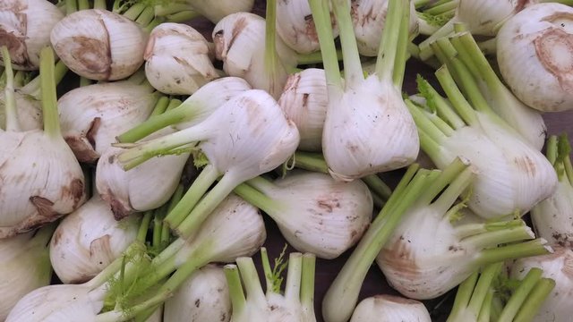 Organically grown fennel at the farmers market